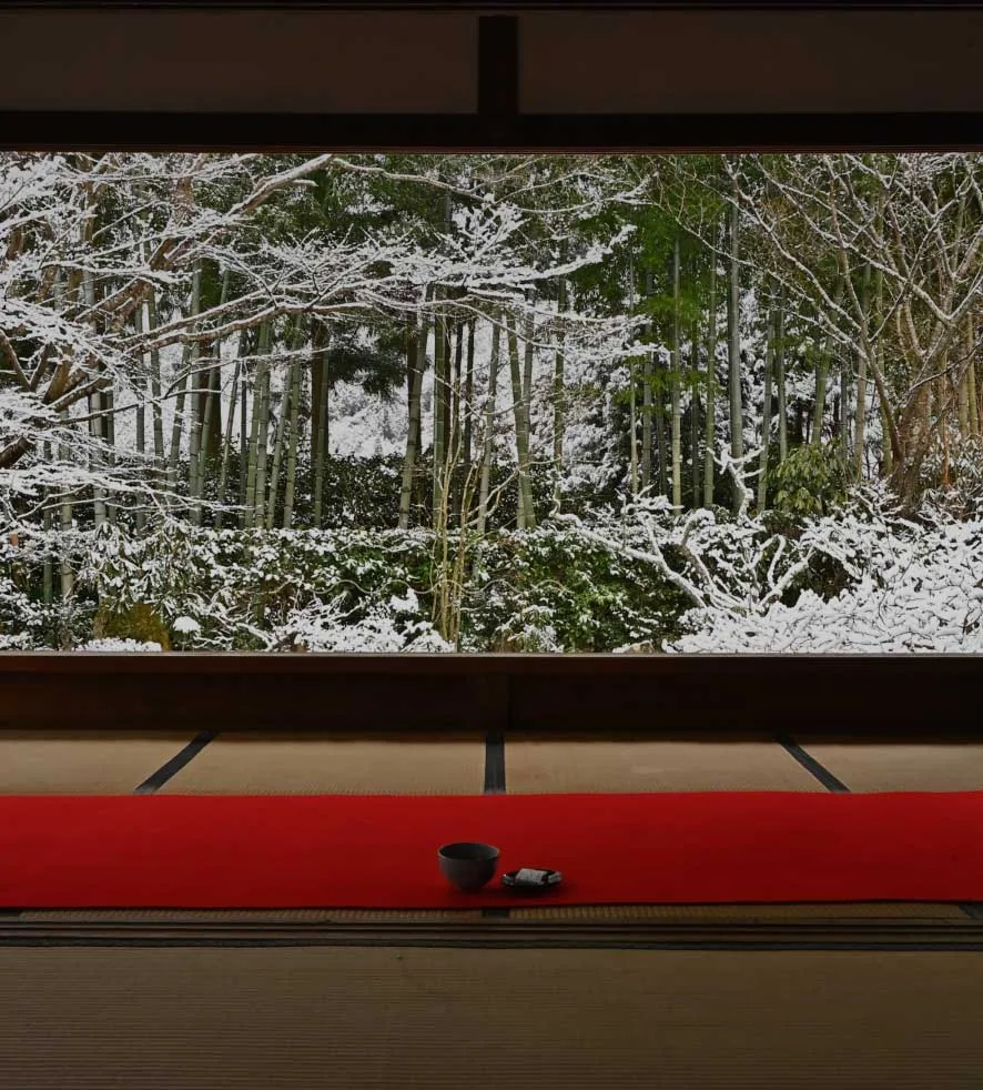 Japanese tea room overlooking winter bamboo