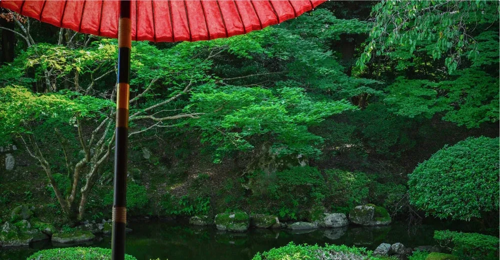 Japanese garden