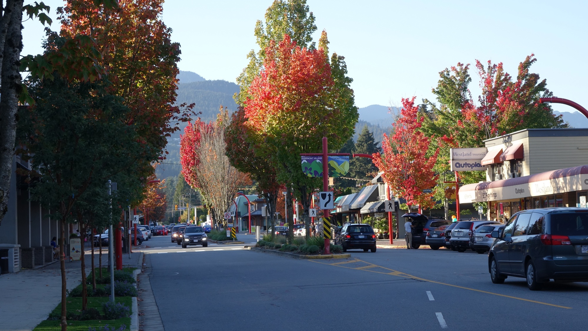 Edgemont Village streetscape