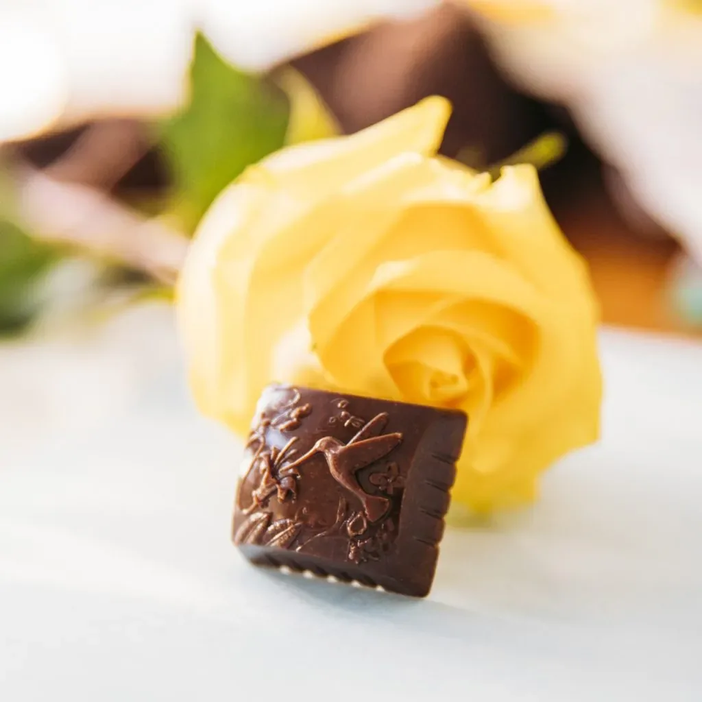 Hummingbird chocolate with yellow flower